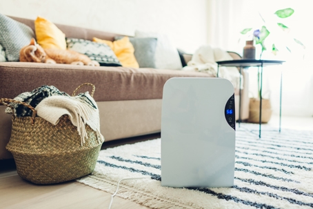 Air Purifiers